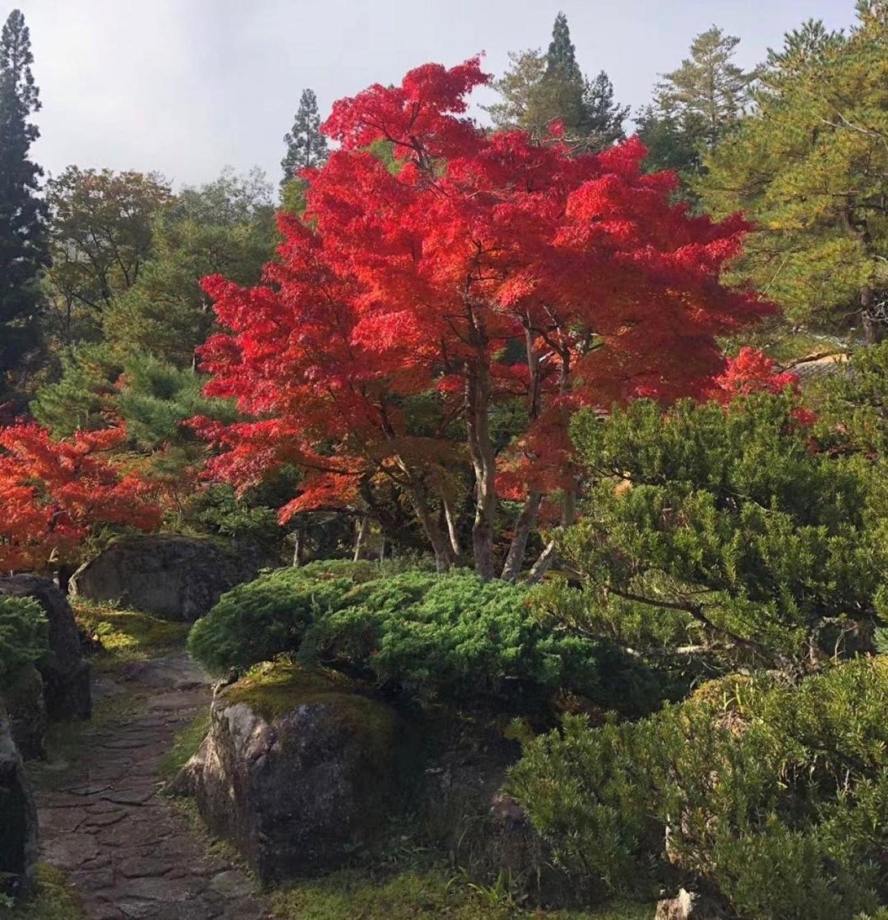 Shohakuen Villa Takayama  Exterior photo